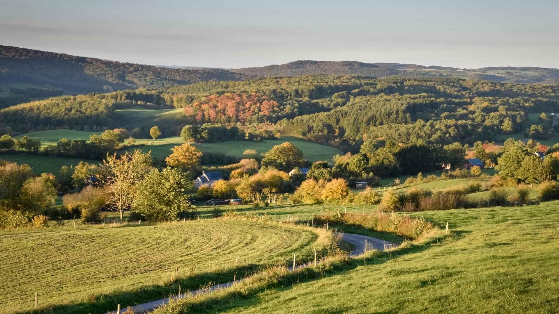 Tips voor een gezinsvakantie in de Belgische Ardennen