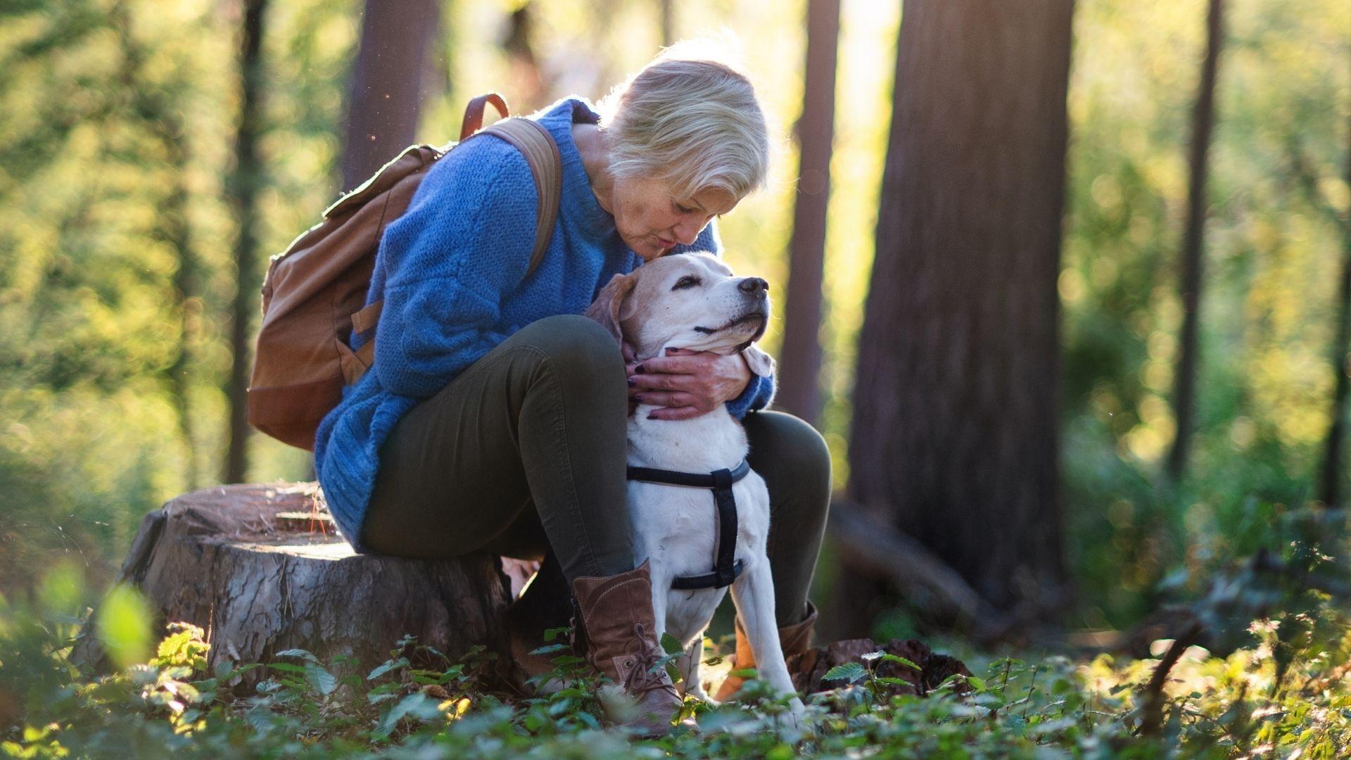 Beste hondvriendelijke natuurparken in de belgische ardennen